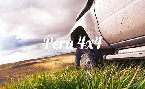 grid-4x4-peru-programs