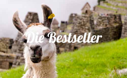 grid-die-bessellers-programs