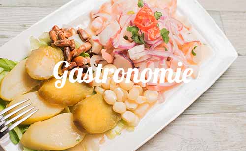 grid-gastronomie-programs-1