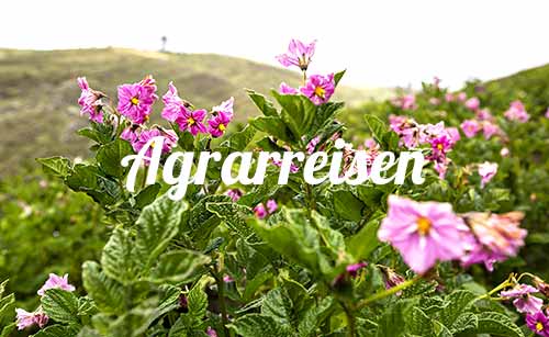 qti-grid-agrarreisen-1